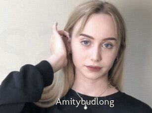 Amitybudlong