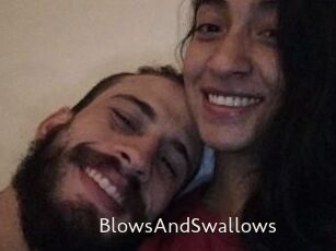 BlowsAndSwallows