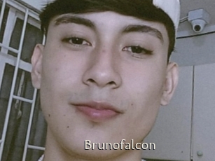 Brunofalcon