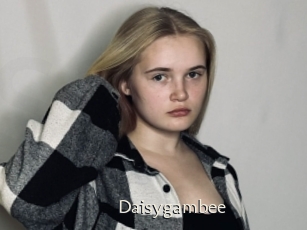 Daisygambee