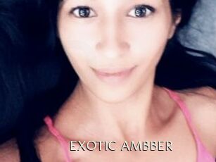 EXOTIC_AMBBER Sexe Annuaire