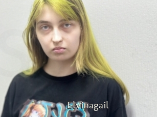 Elvinagail