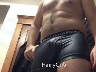 HairyCub