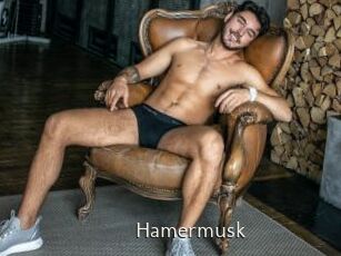 Hamermusk