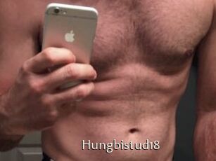 Hungbistud18