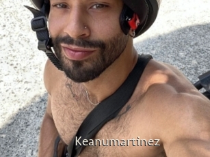 Keanumartinez