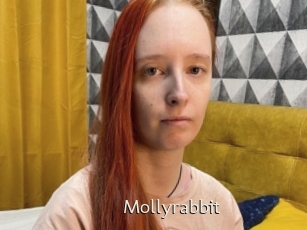 Mollyrabbit