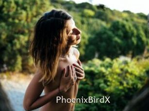 PhoenixBirdX Sexe Annuaire