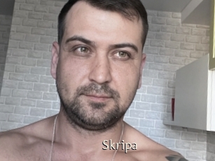 Skripa