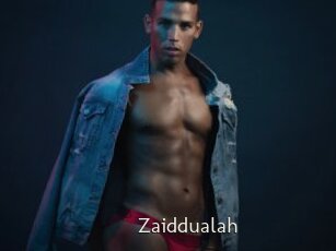 Zaiddualah
